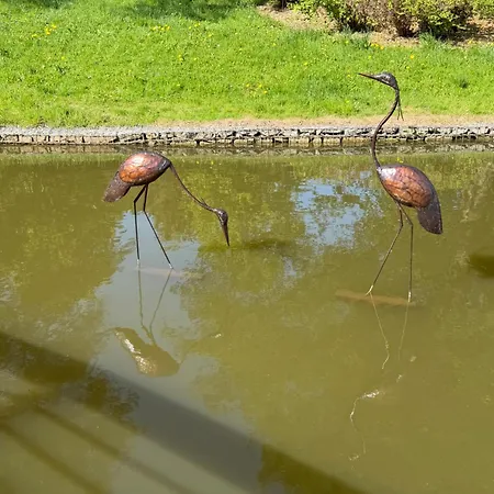 Osrodek Wypoczynkowy Nad Stawem - Przy Promenadzie, Wybierany Przez Gosci Ceniacych Cisze I Komfortowy Wypoczynek W Bezposrednim Sasiedztwie Parku Zdrojowego Z Teznia Solankowa 3*